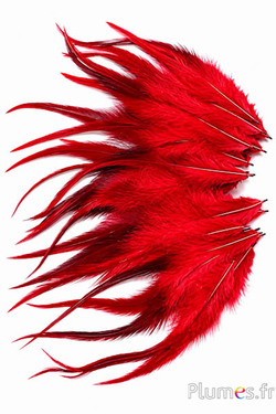 Haan - 15-18 cm - rood koffie